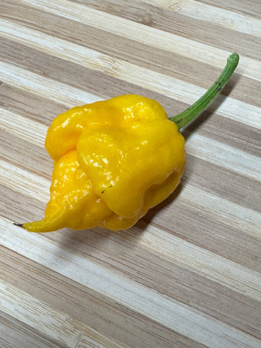 7 Pot Primo Yellow - Seeds - The Pepper Pantry (Formerly Marie Sharp's)